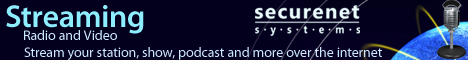 Securenet Systems - Hosting, Design, Programming, (Advertisement) 